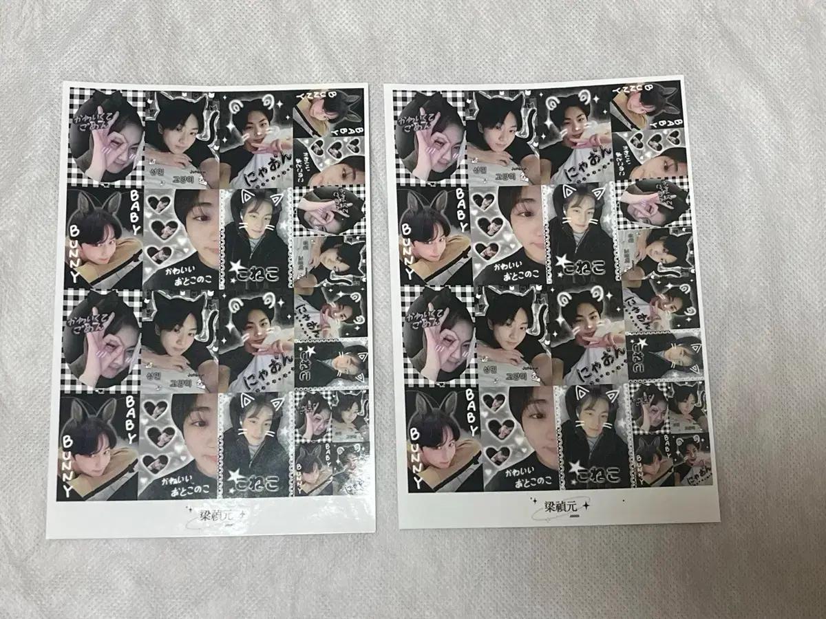 엔하이픈 정원 프리쿠라