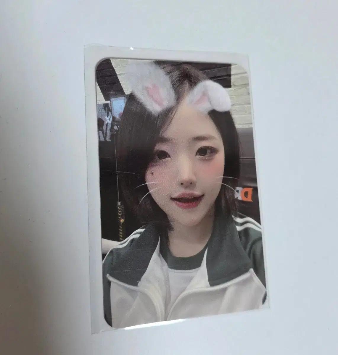KPOPSTORE 사인회 당첨자 특전 미공포 SNOW 히나 냥뇽녕냥