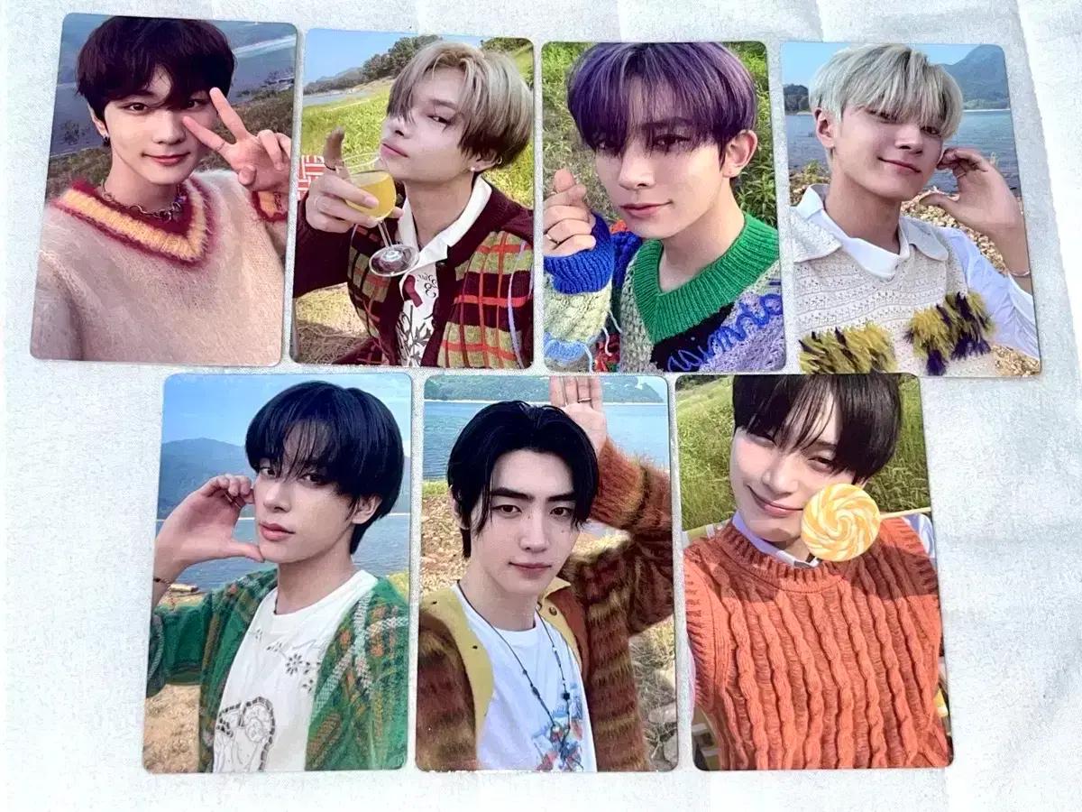 엔하이픈 포카 오렌지 블러드