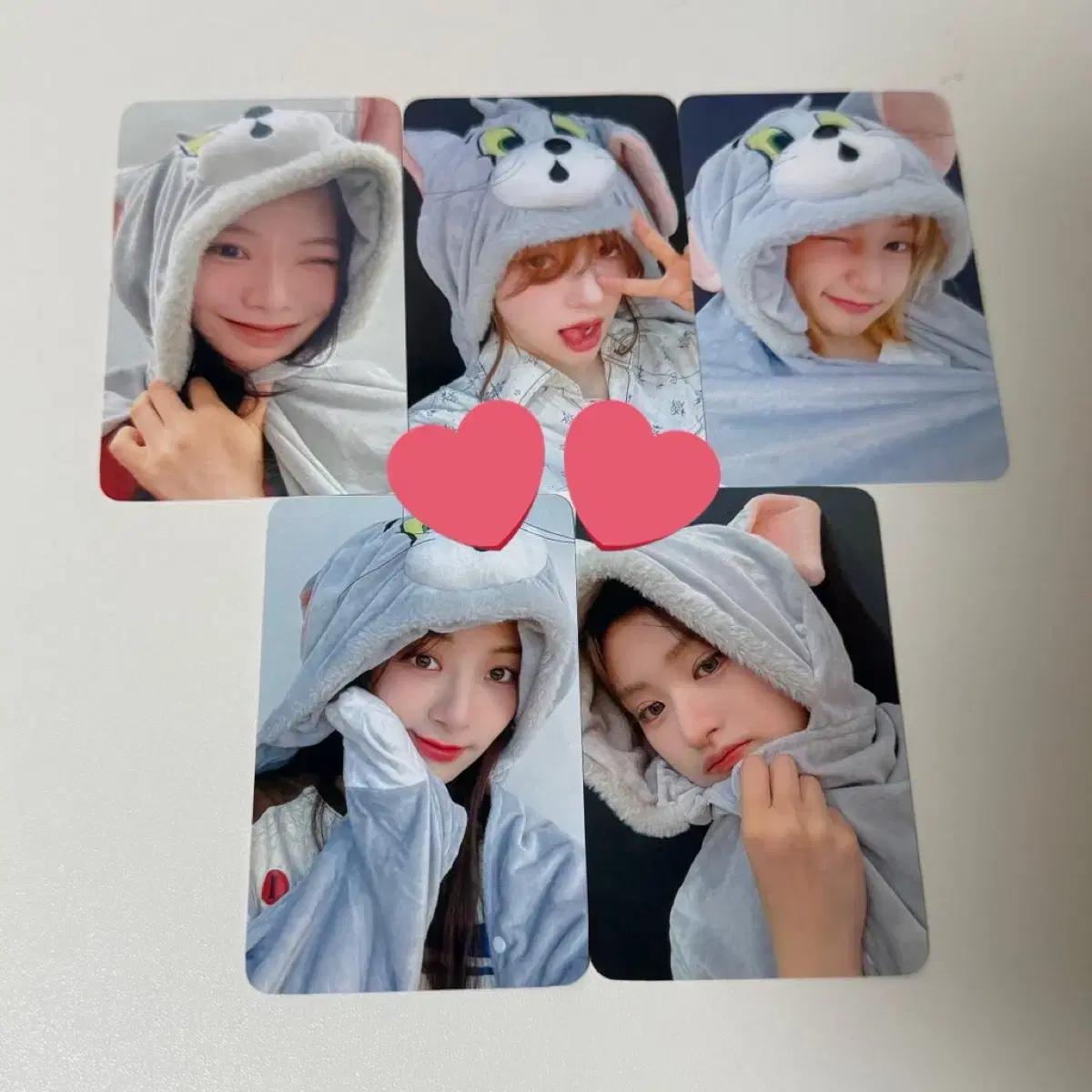 피프티피프티 푸키 뮤브 미공포 포토카드 포카