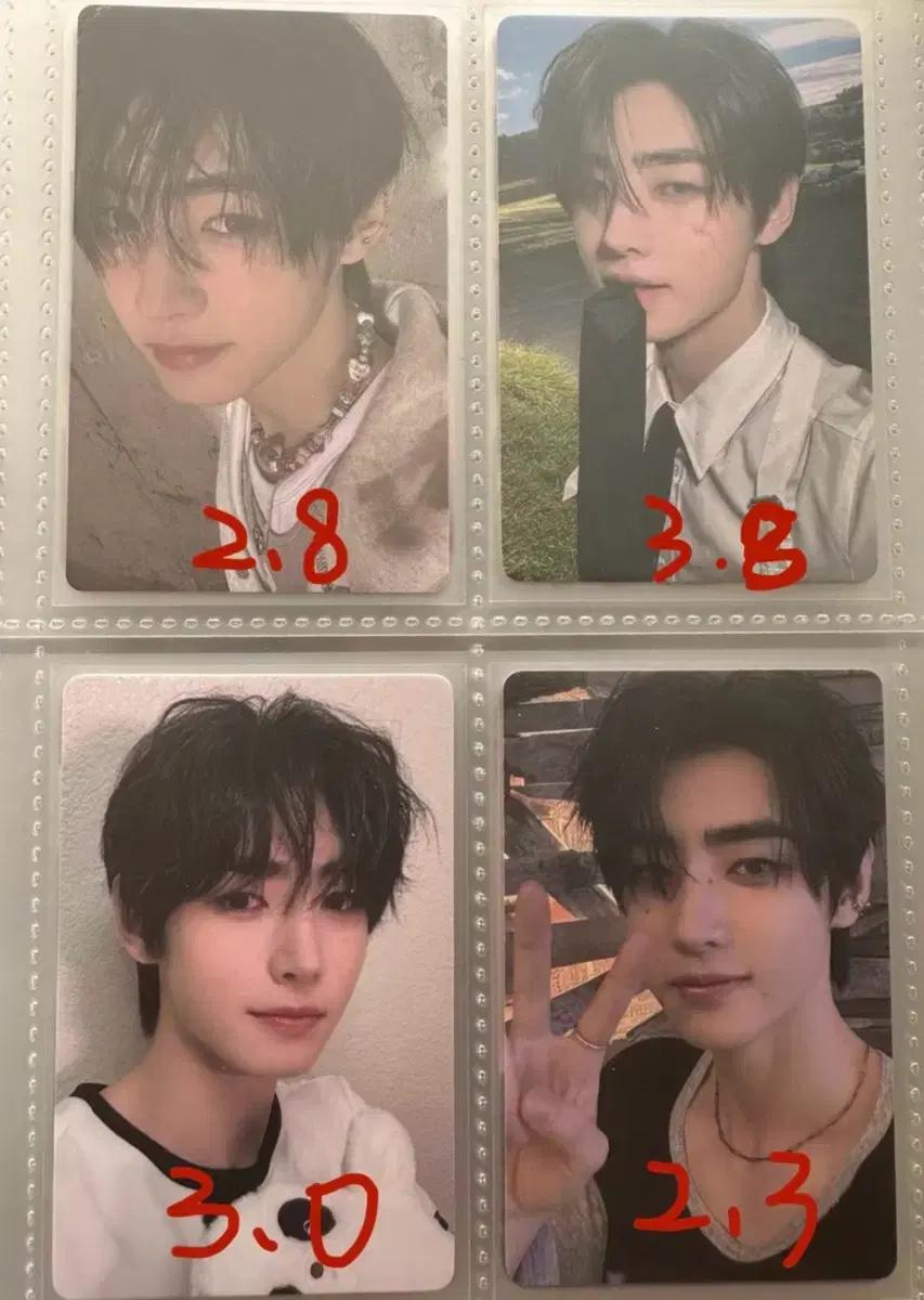 엔하이픈 성훈 제이 이즈위 포카 양도