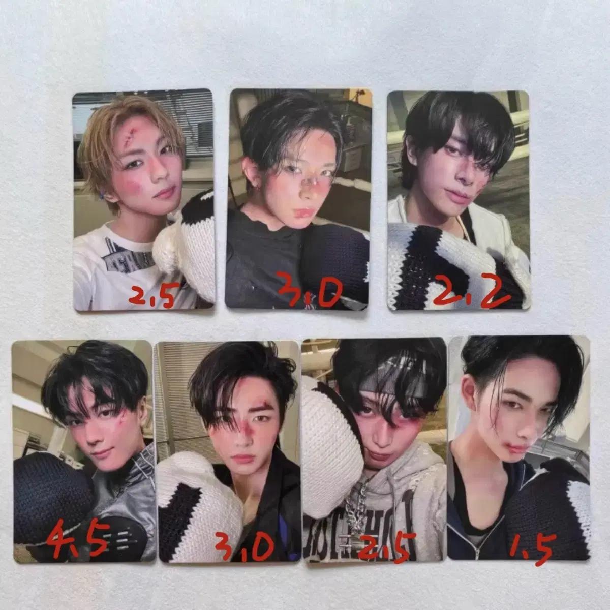 엔하이픈 이즈위 복싱 포카 양도 세트 양도