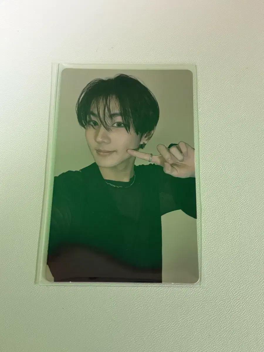 엔하이픈 UNSEEN 전시회 정원 포카