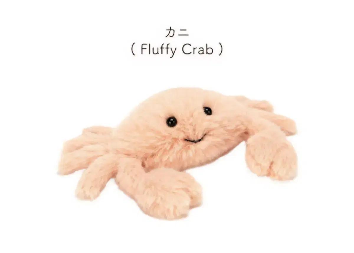 삽니다) 젤리캣 게 구해요