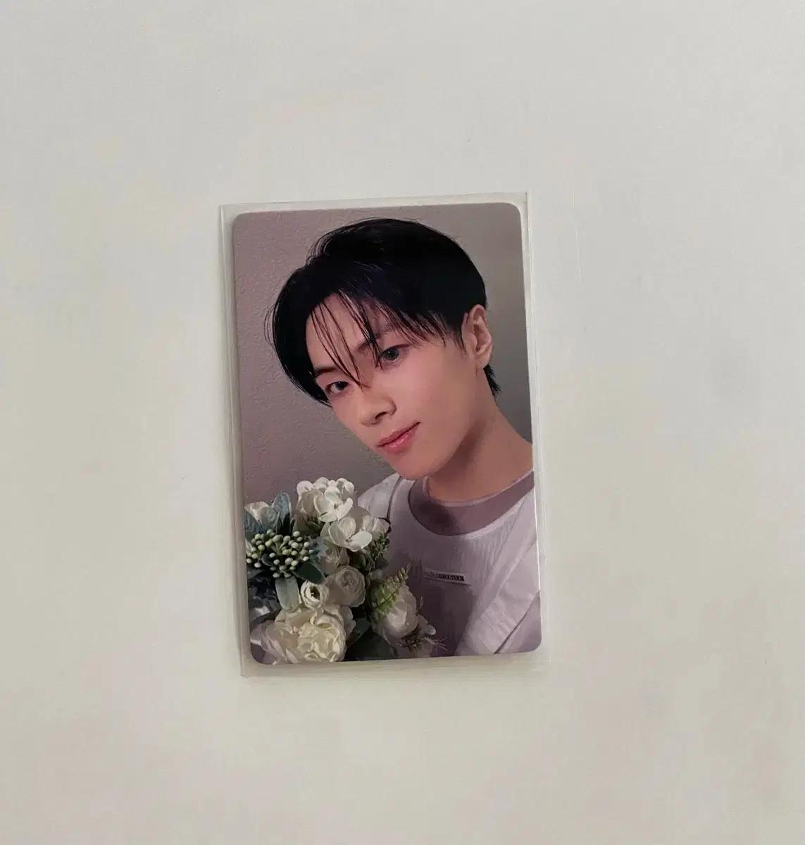 엔하이픈 제이 이즈위 꽃다발 포카 양도