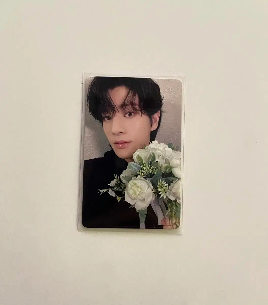 엔하이픈 제이크 이즈위 꽃다발 포카 양도