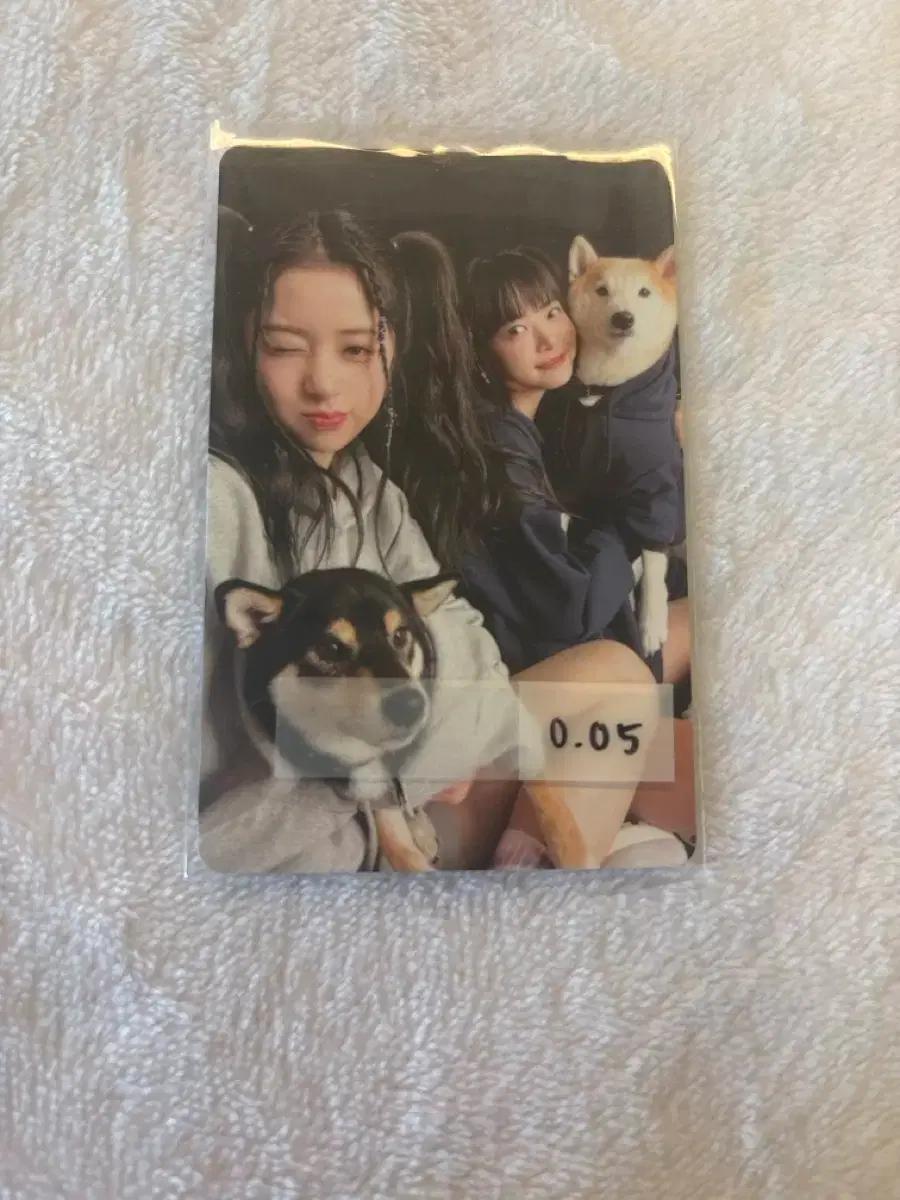 르세라핌 허윤진 홍은채 포카