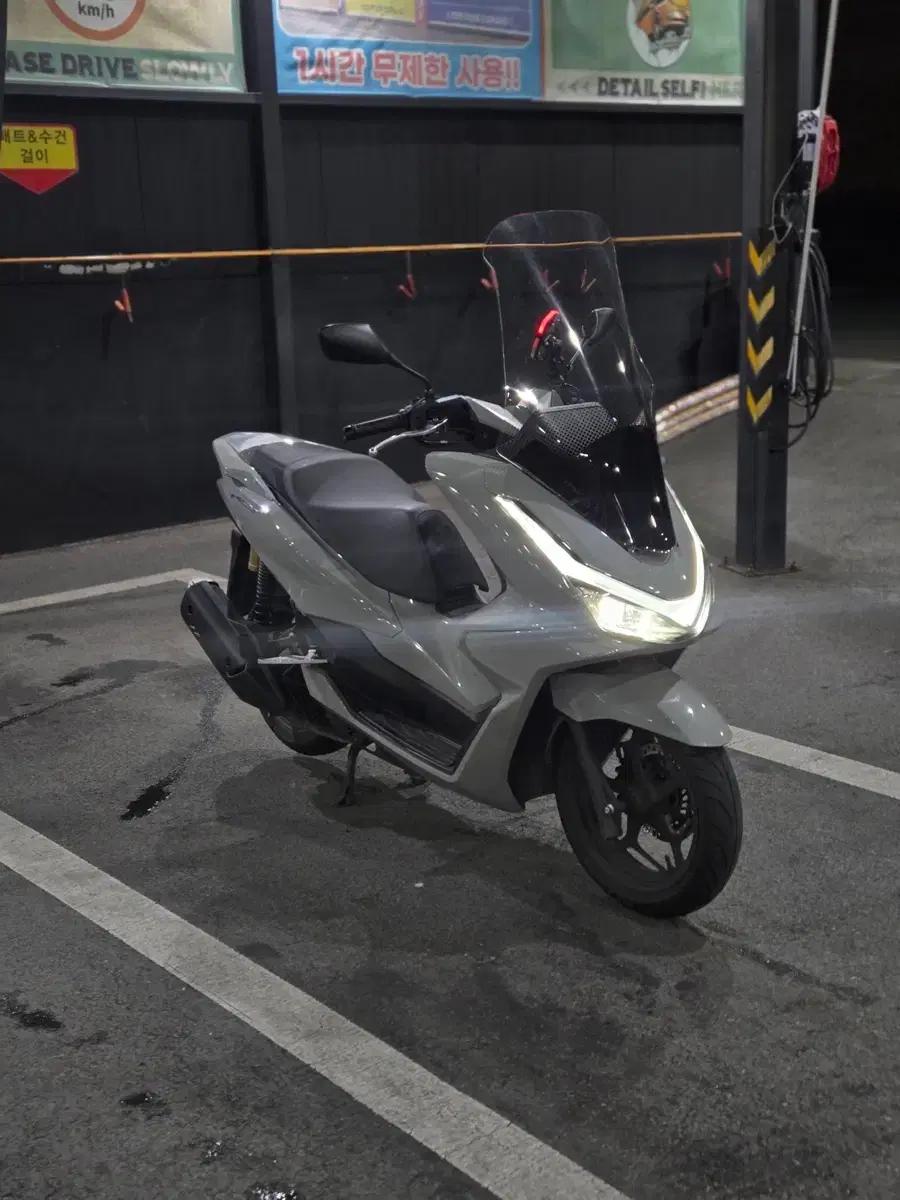 대구 25년 pcx125 1대신차 포르자 크루심 보이져 nmax xmax