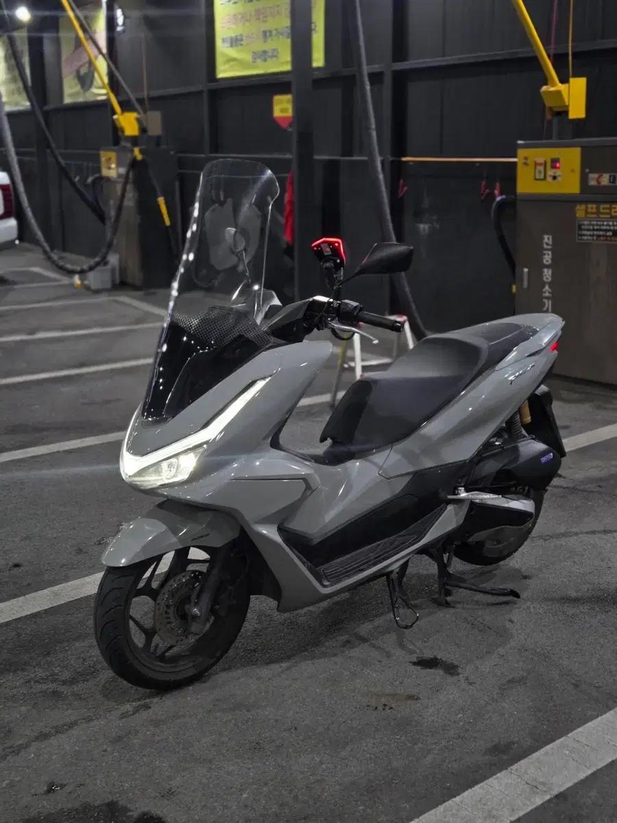 대구 25년 pcx125 1대신차 포르자 크루심 보이져 nmax xmax