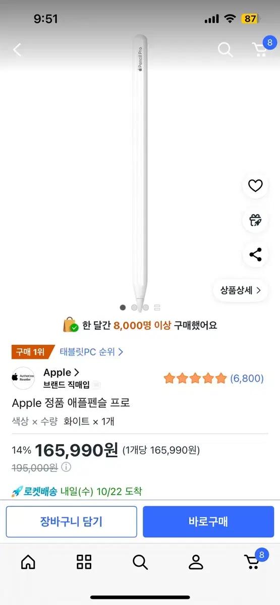 아이패드 펜슬 프로 (애플펜슬 프로 새거)