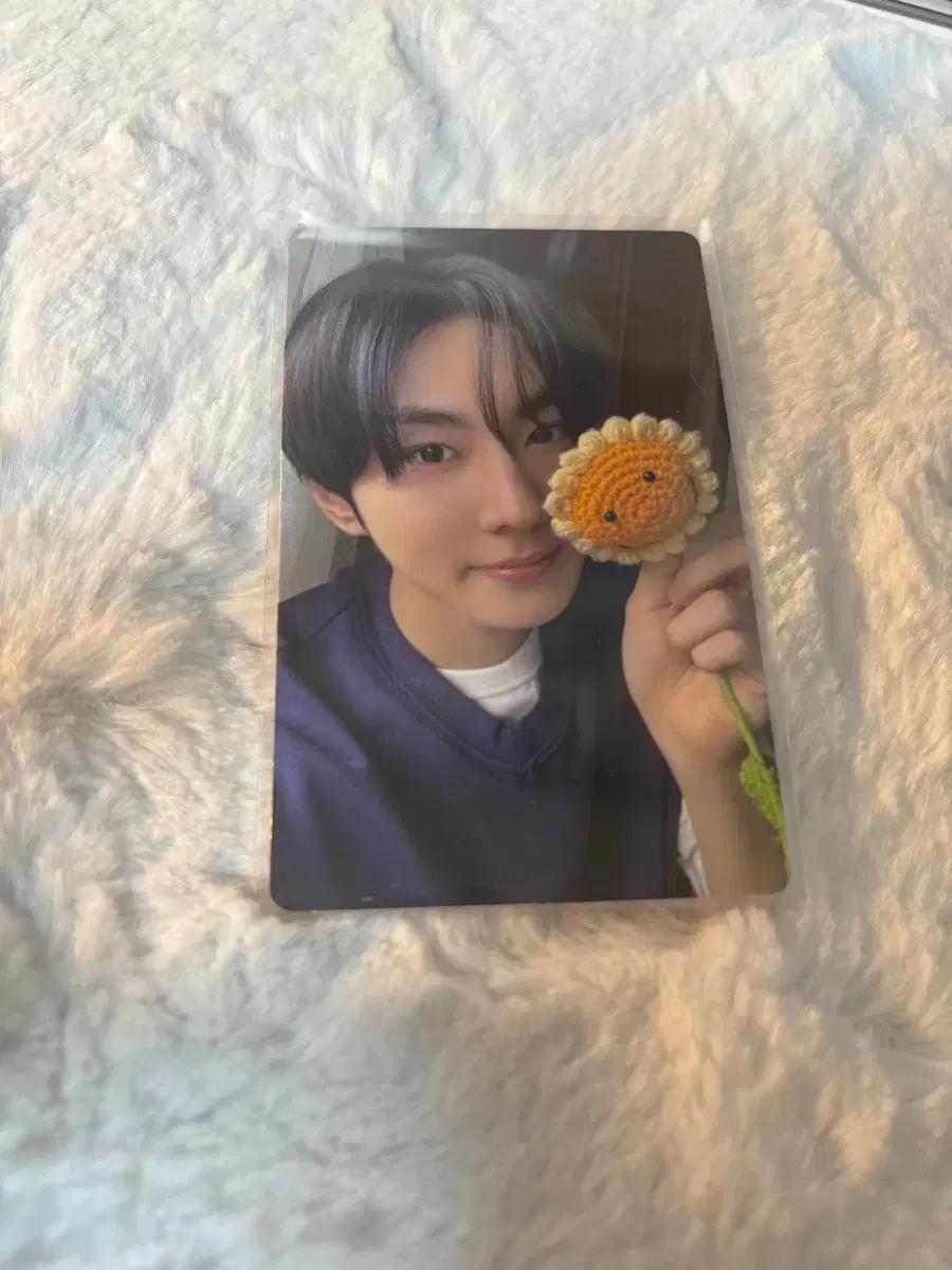 엔하이픈 정원 로맨스 언톨드 엔진반 랜덤 포카