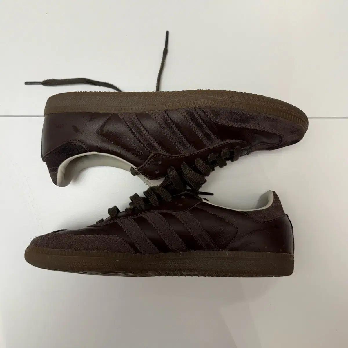 아디다스 브라운 삼바