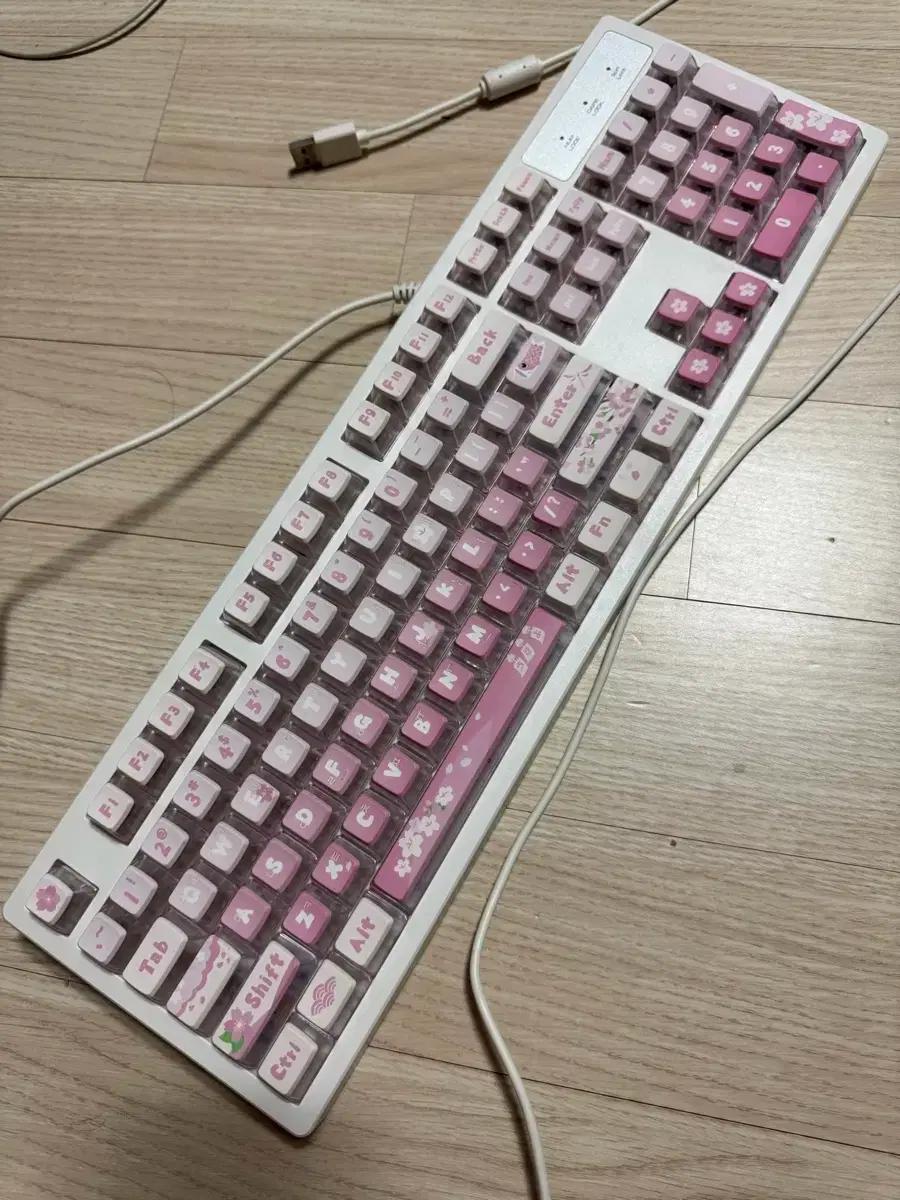 다얼유 TK531 LED 기계식 키보드 싸게 팔아요~