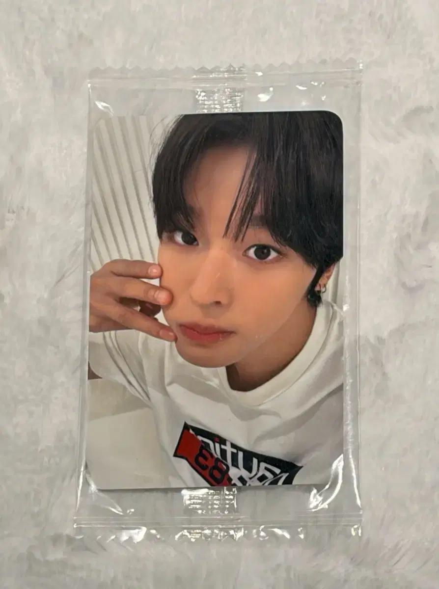 엔시티위시 nct wish 컬러 케타포 미공포 리쿠 포카