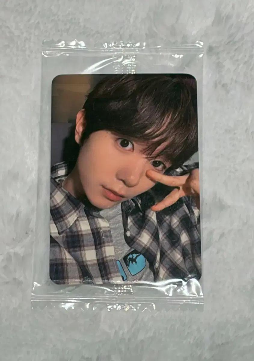 엔시티위시 nct wish 컬러 케타포 미공포 료 포카