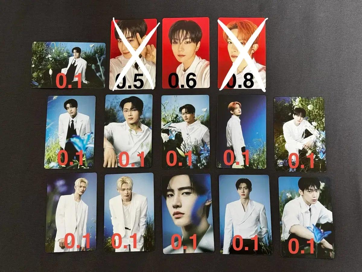 엔하이픈 콘서트 웤더라인 파이널 포카 양도