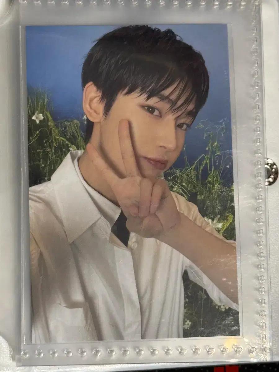 엔하이픈 선우 웤더라인 파이널 위버스7만원 특전