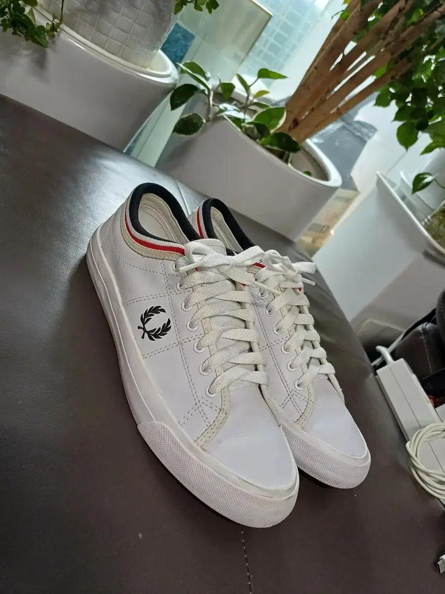 여성여자 프레디 페리  스니커즈 가죽  운동화 240