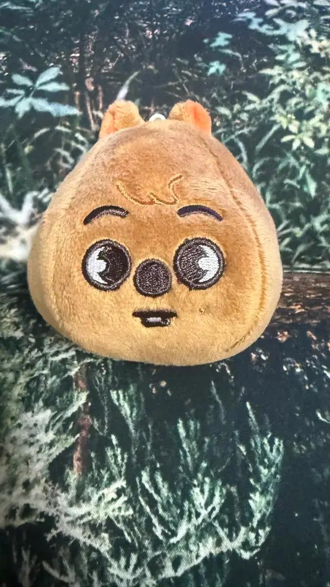 스키주 한쿼카 열기구 일본 md 백참 키링 skz 스트레이 키즈