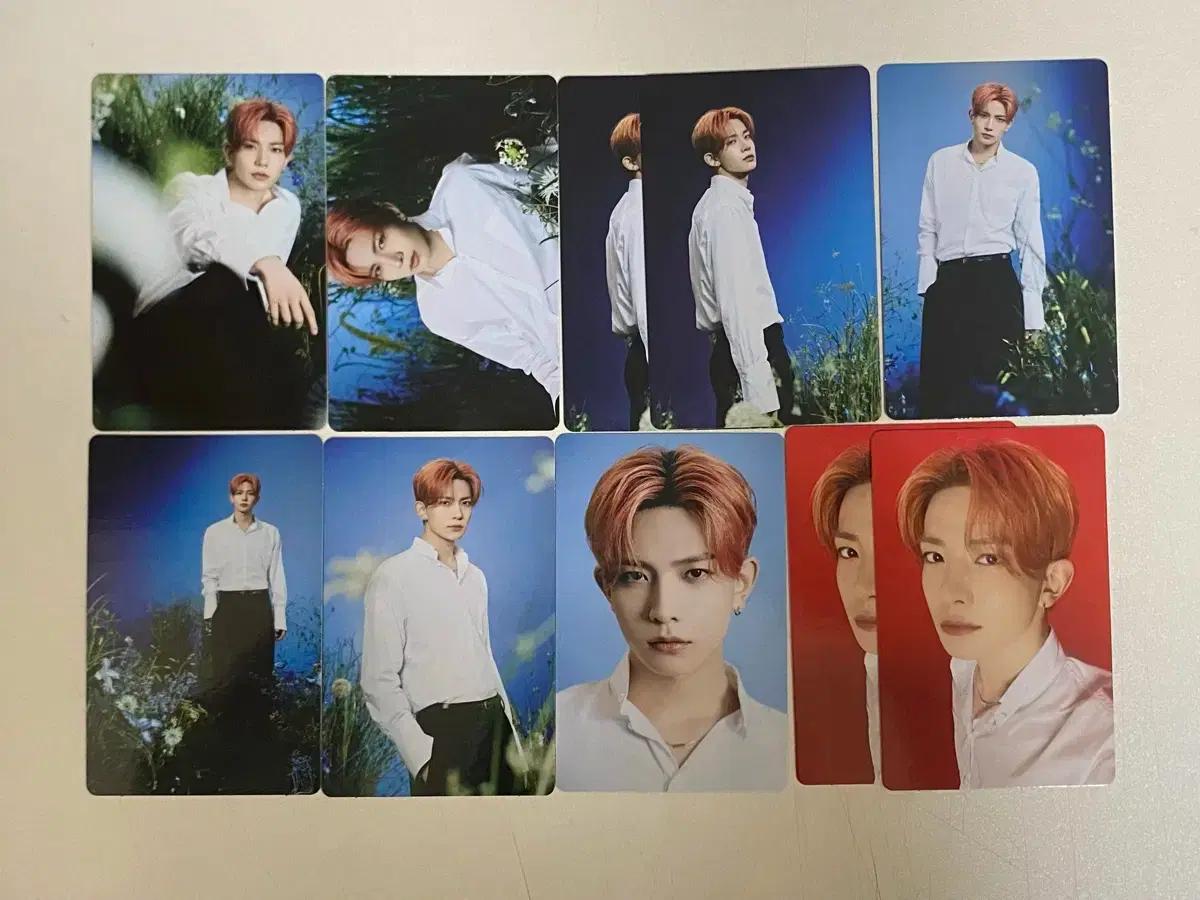 엔하이픈 트레카 양도