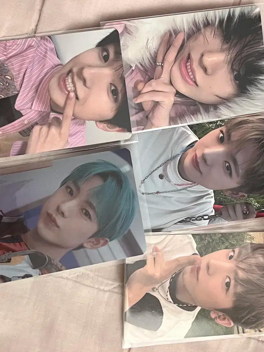 엔시티위시 유우시포카 5장 일괄판매 미라클유우시