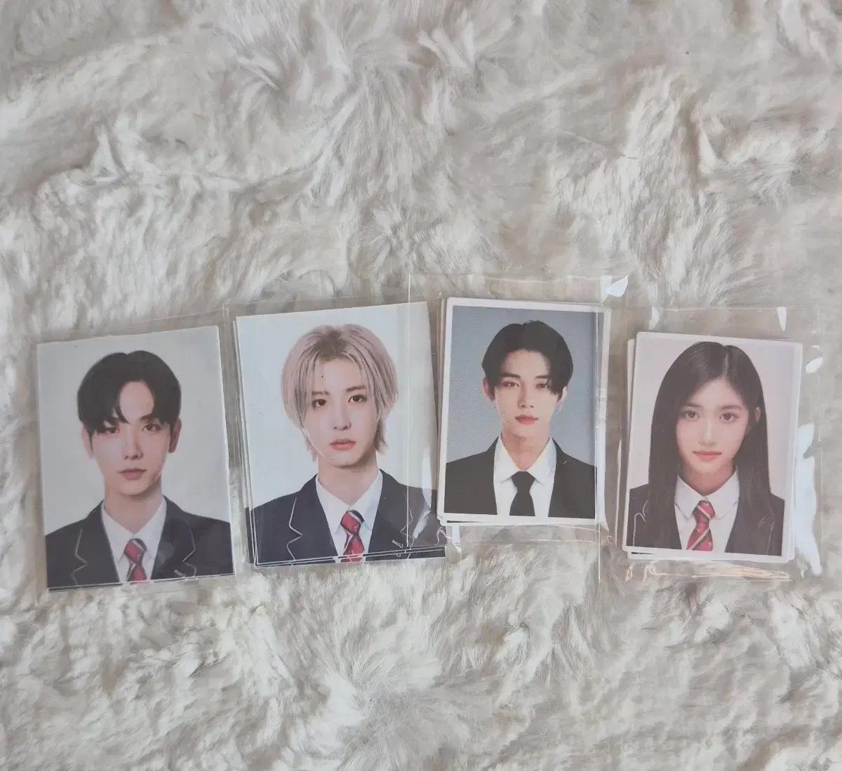 보넥도 투바투 아이브 증사 판매