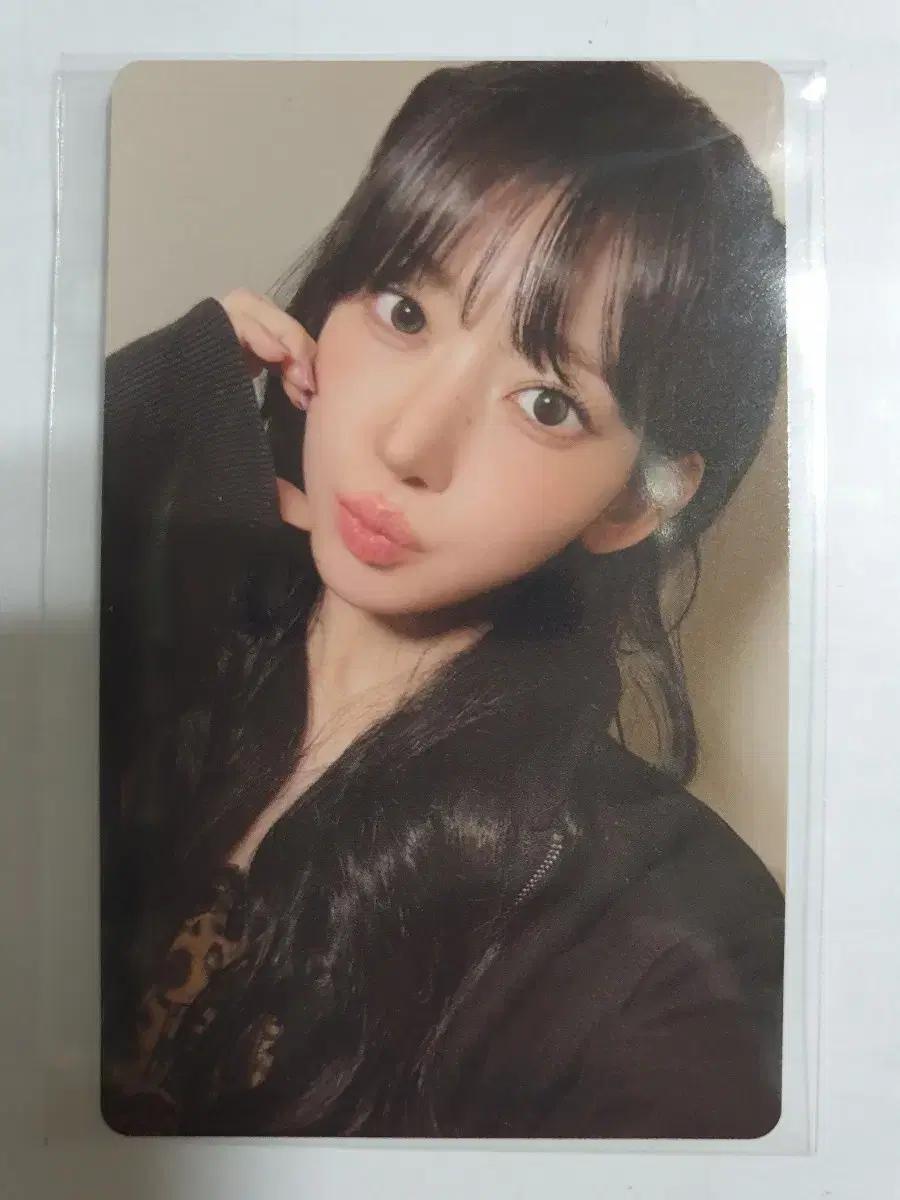 르세라핌 사쿠라 스파게티 위버스 영통응모 특전 미공포