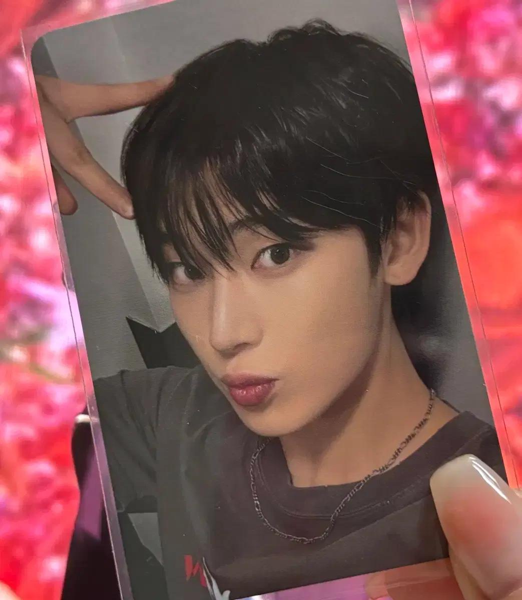 엔하이픈 웤더라 엔진존 선우 양도 교환