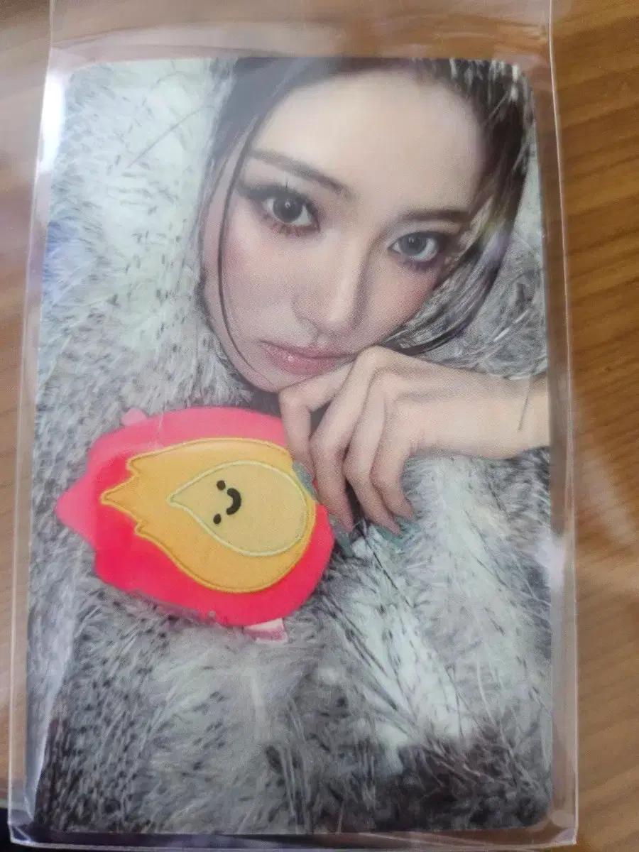미야오 공방포카 안나 버닝업