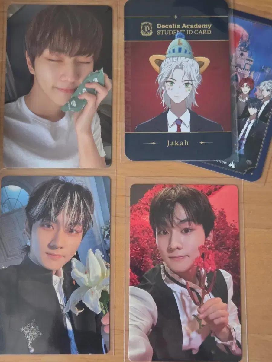 엔하이픈 포카 일괄 판매