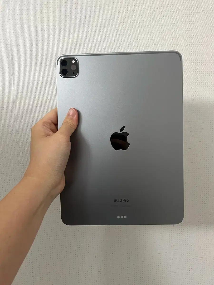 아이패드 프로 11 4세대 +애플펜슬2