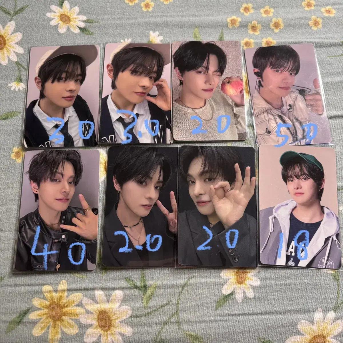 보플 상하이 전시회 팝업 이리오 노다옷 1주차 포카