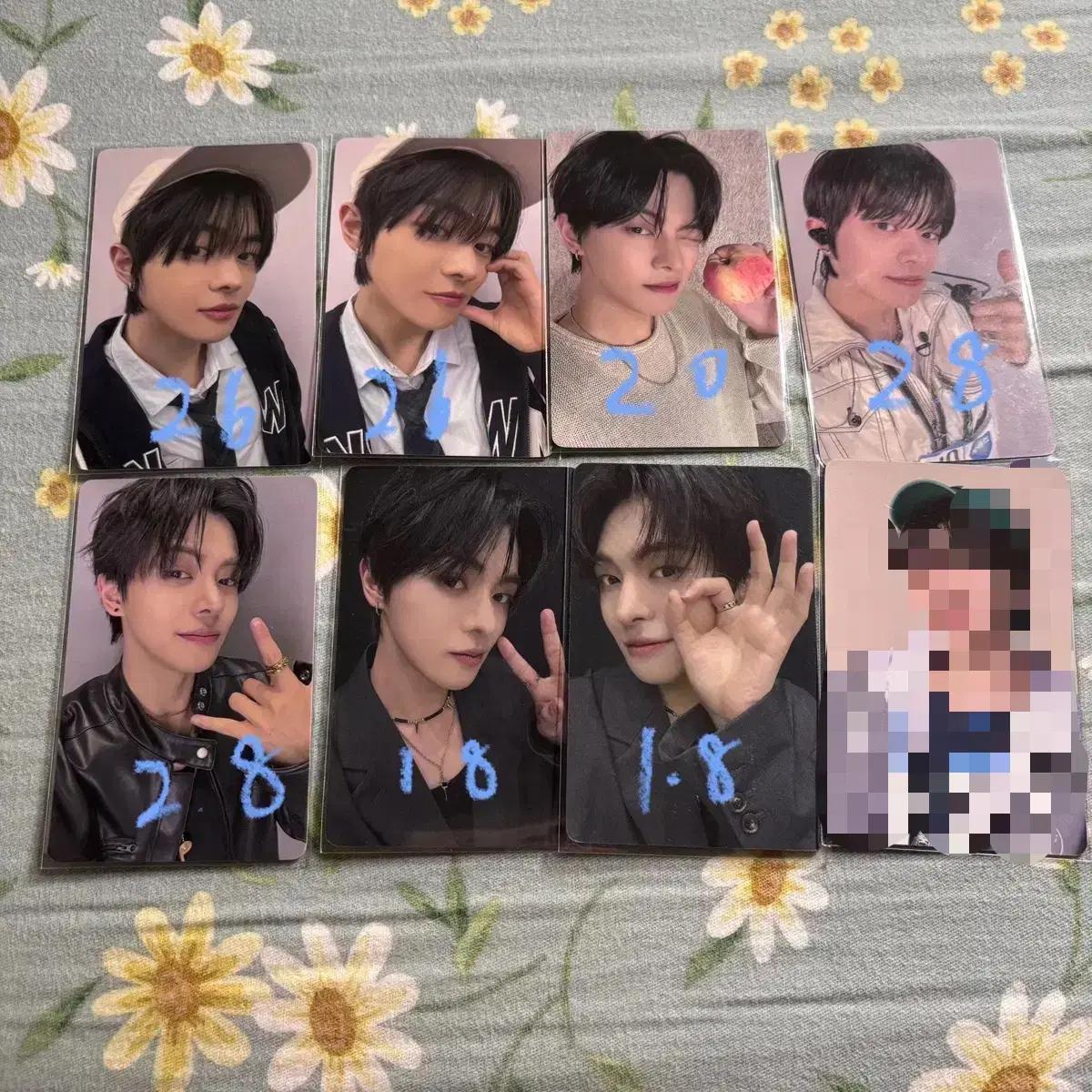 보플 상하이 전시회 팝업 이리오 노다옷 1주차 포카