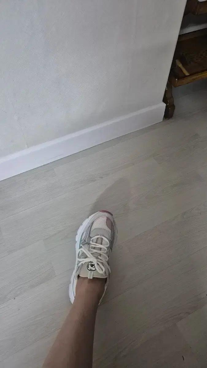 악셀 아리가토 (포르투갈) 운동화