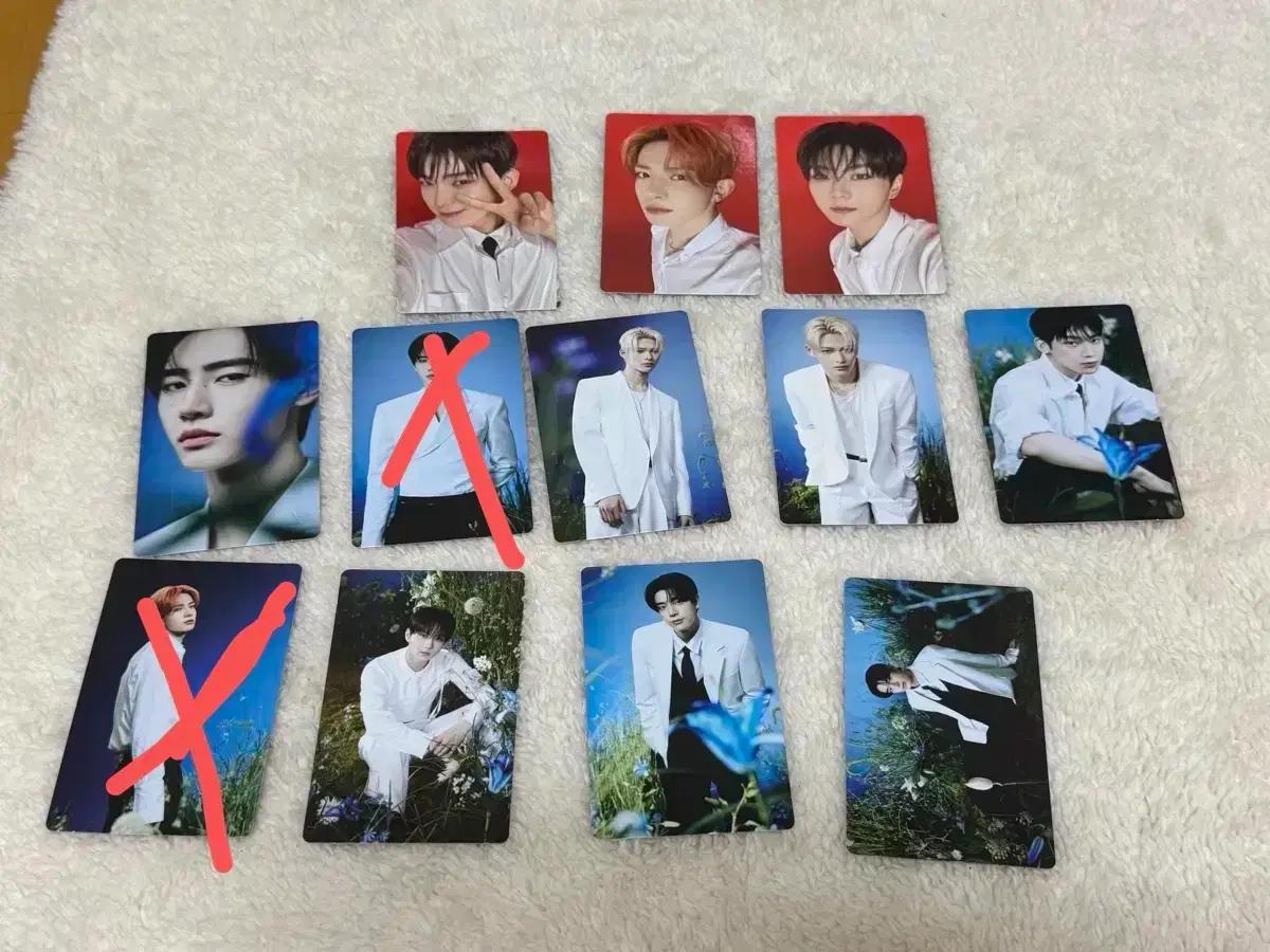 엔하이픈 웍더라인 파이널 트레카 양도