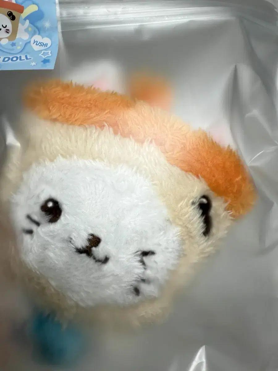 엔시티위시 유우시 미개봉 버블냥 현물