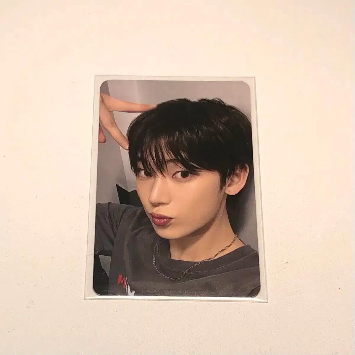 엔하이픈 선우 엔진존 포카 양도