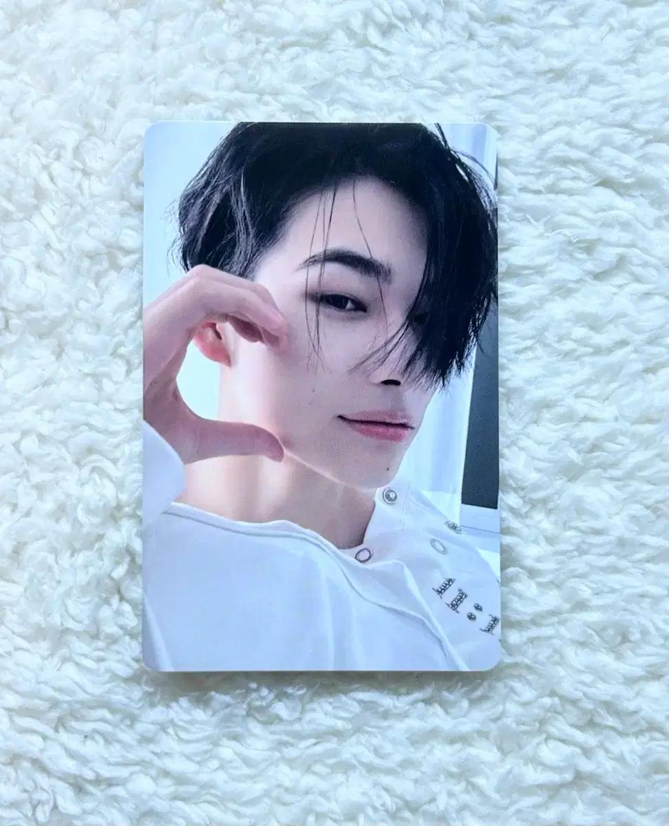 엔하이픈 니키 데이드림 이즈위 특전 포카