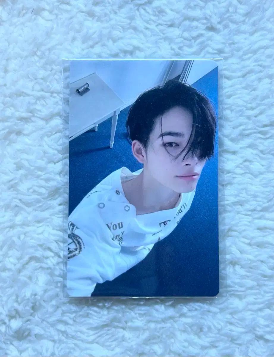 엔하이픈 니키 데이드림 선물하기 특전 포카 미개봉