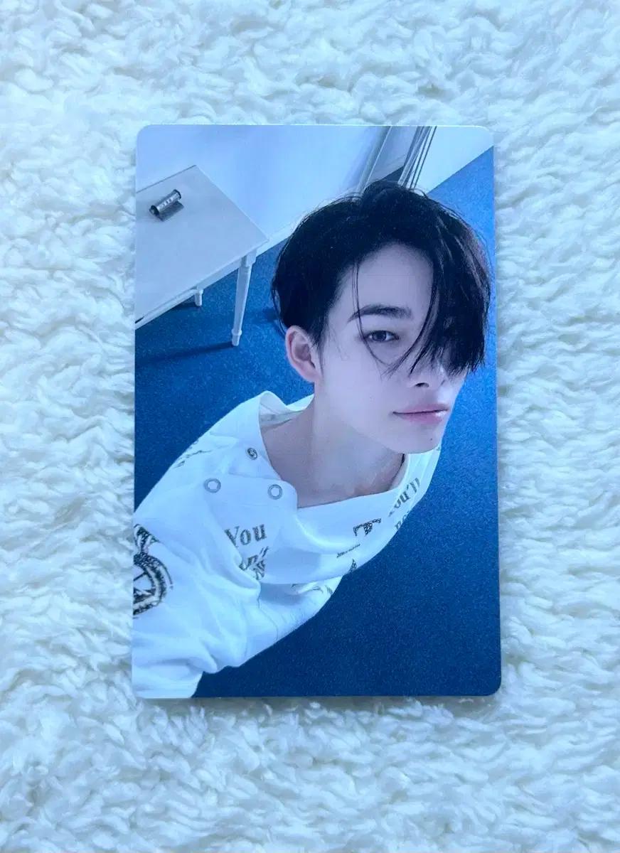 엔하이픈 니키 데이드림 선물하기 특전 포카