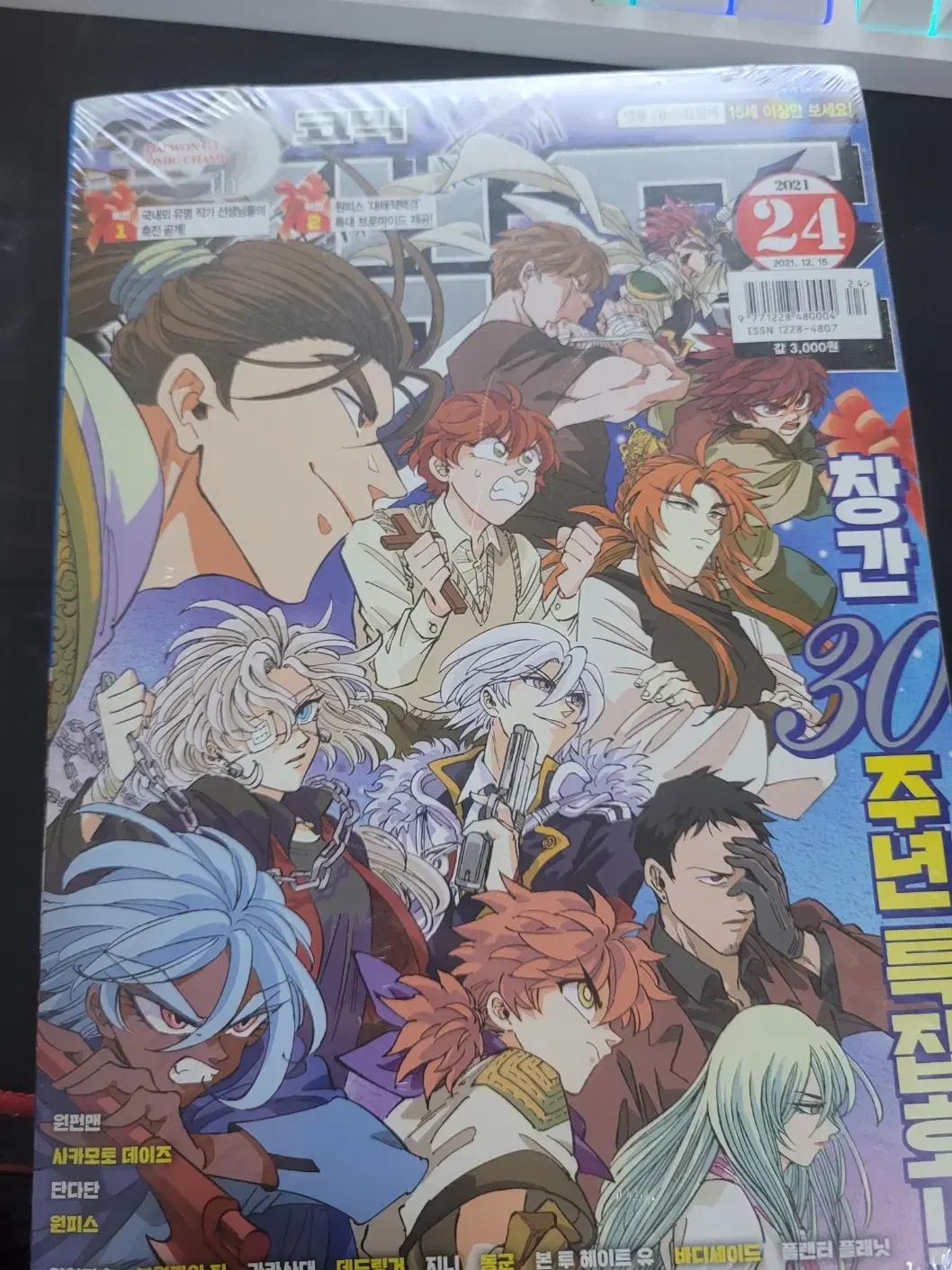 코믹 챔프 창간 30주년 특집 원피스 대해적 브로마이드 핀업 축전