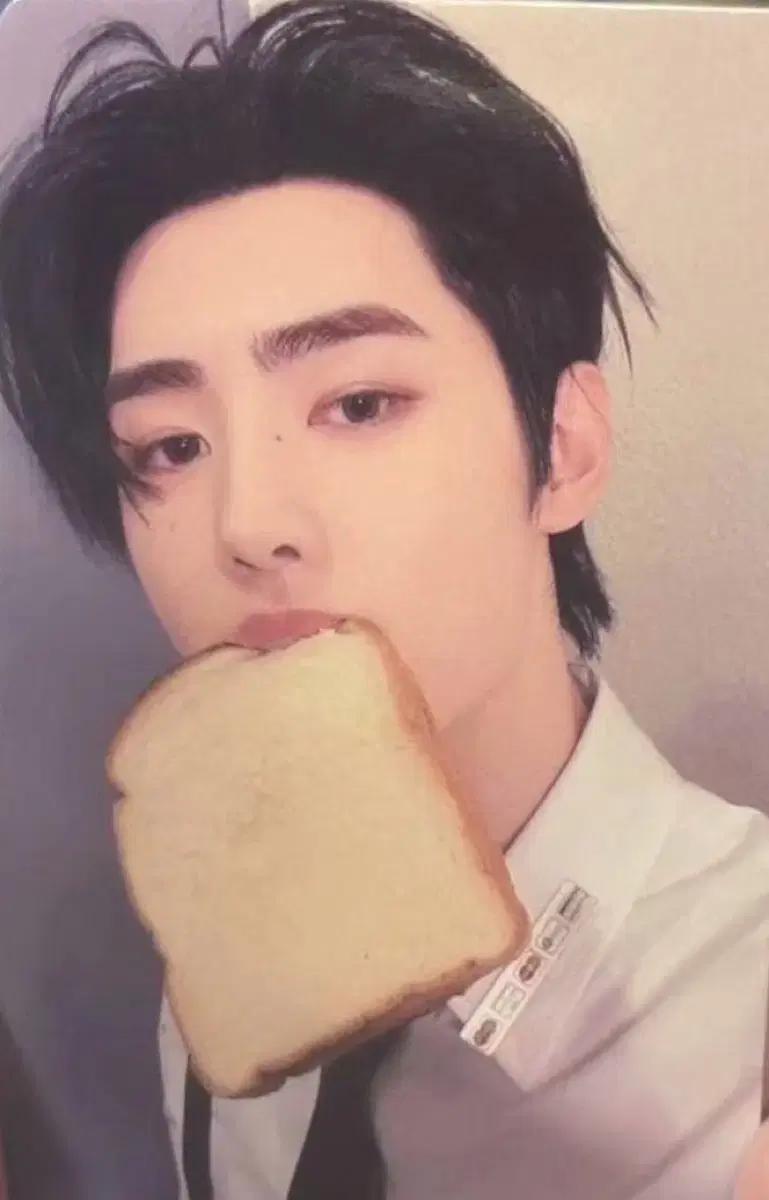 엔하이픈 박성훈 이즈위 식빵포카 구해요