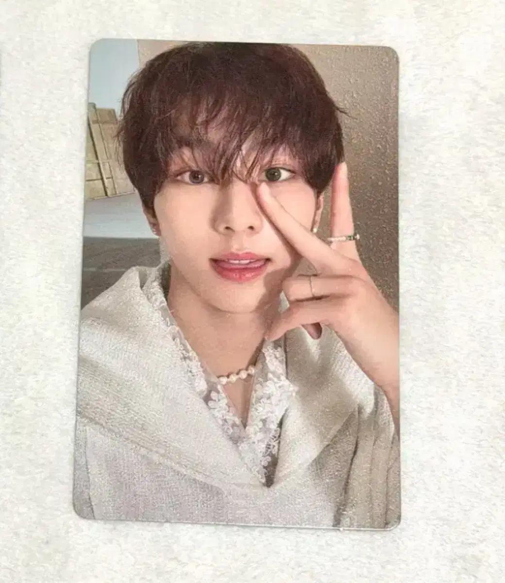 엔하이픈 오렌지 블러드 정원 포카 구합니다ㅠㅠ