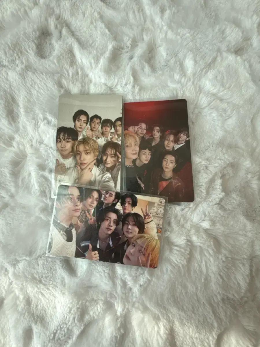 엔하이픈 단체 포토카드 다크블러드, 로맨스언톨드