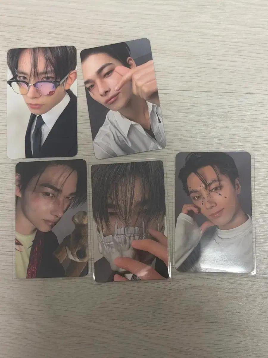 선우 구함) 엔하이픈 디자이어 포카 교환