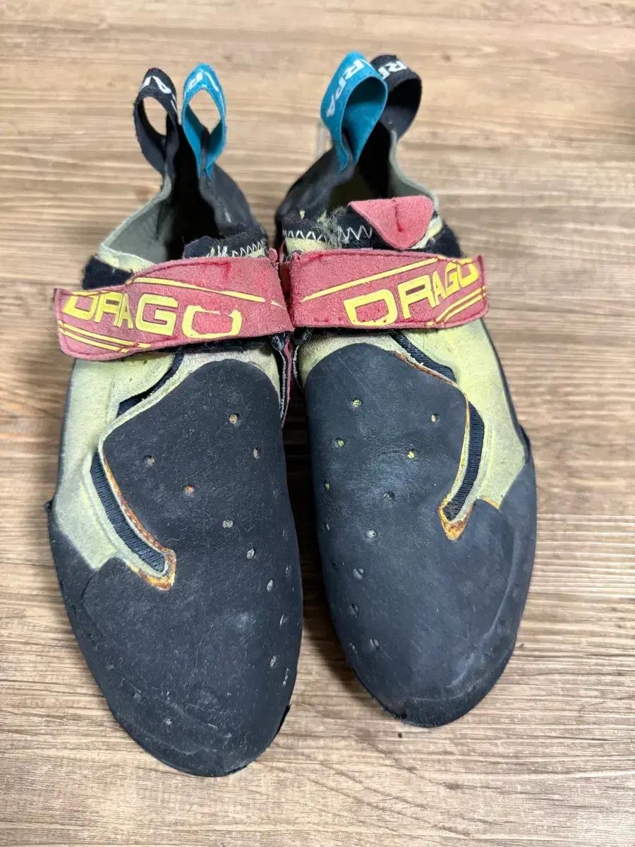 스카르파 드라고 클라이밍화 암벽화 42