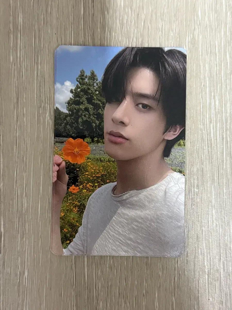 엔하이픈 포카 오렌지블러드 위버스 제이크