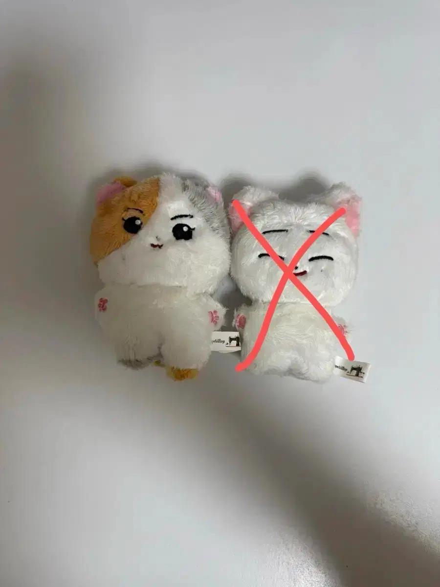 엔하이픈 정원, 선우 인형 엔니멀즈 양도