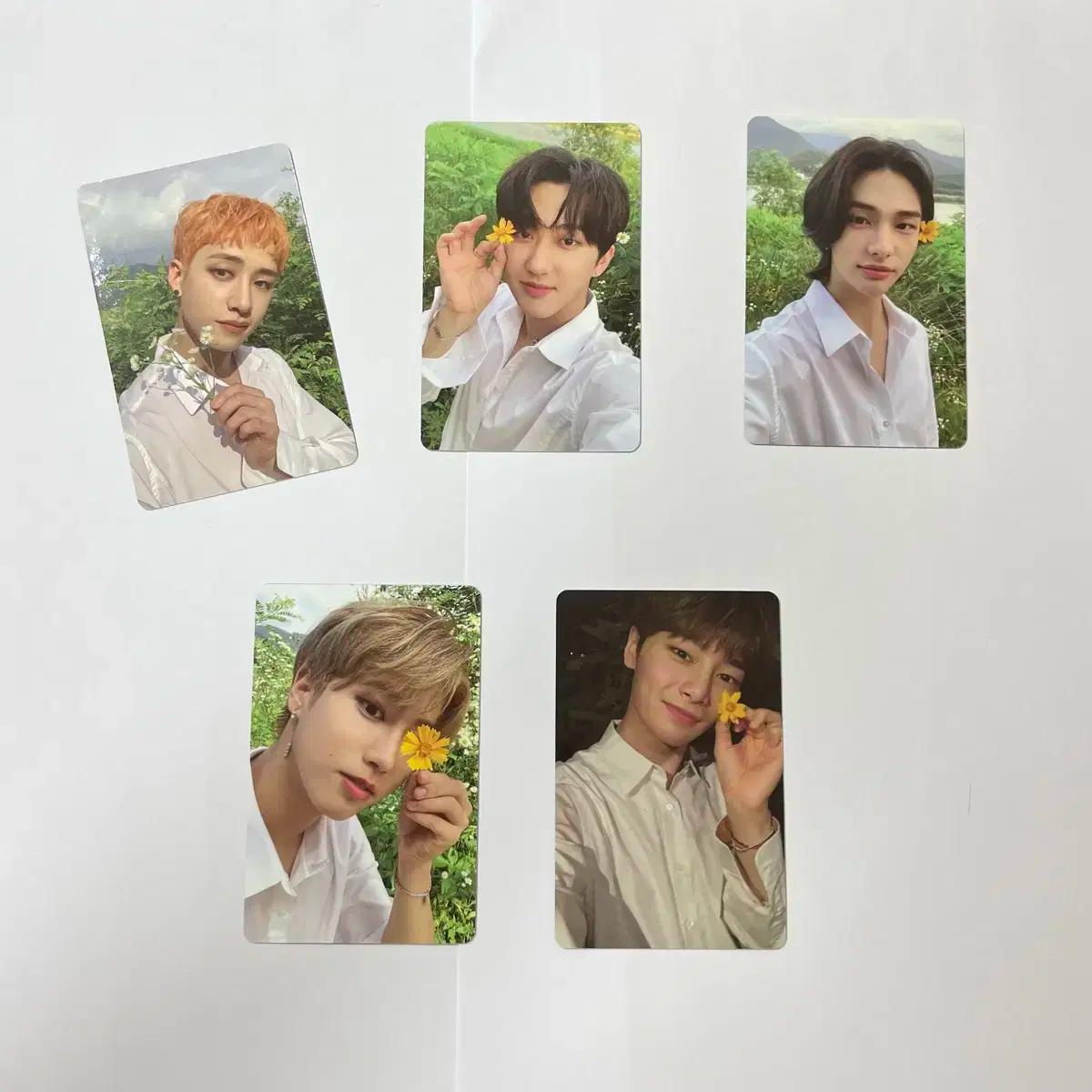 스트레이키즈 스키즈 straykids 노이지 noeasy 소리꾼 한정반