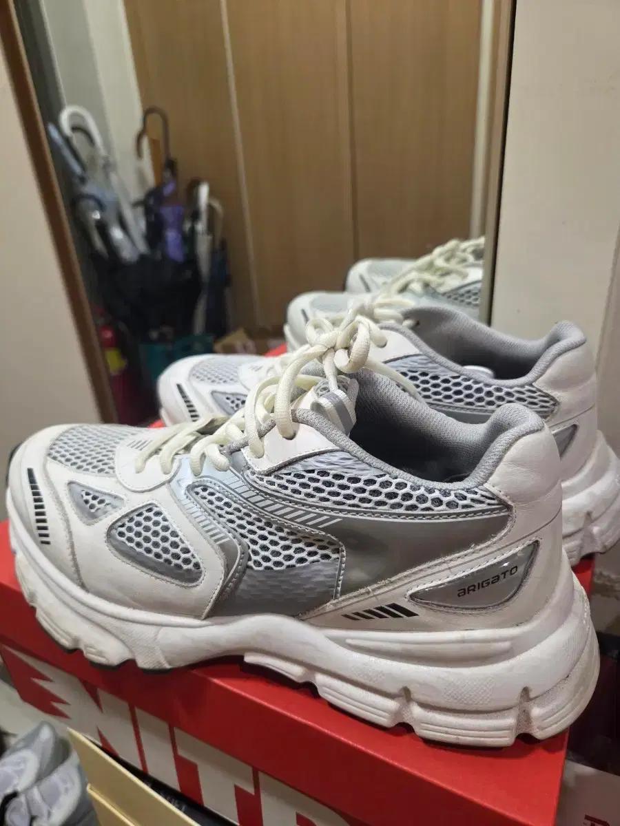 악셀아리가토 마라톤 255